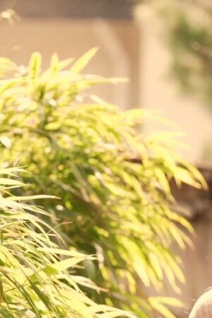 Matsuno Ran và JUQ-892: Va chạm mãnh liệt, nhịp độ dồn dập không ngừng